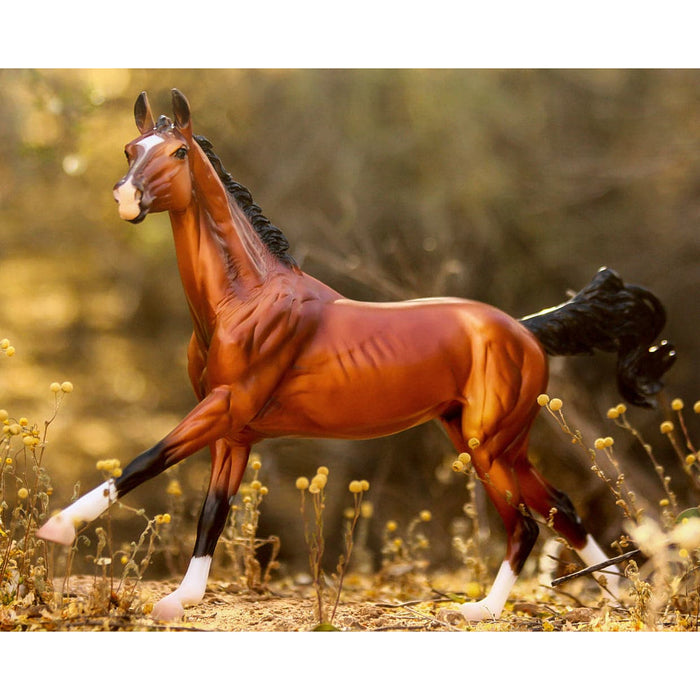 Breyer Adamek