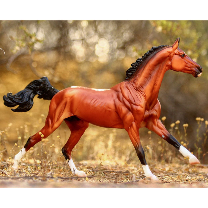 Breyer Adamek