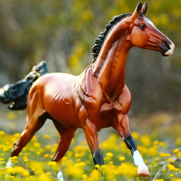 Breyer Adamek