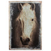 Sepia Tone Horse Portrait Wall Art