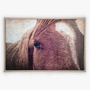 Carved Roped Framed Horse 32 x22 Wall Decor