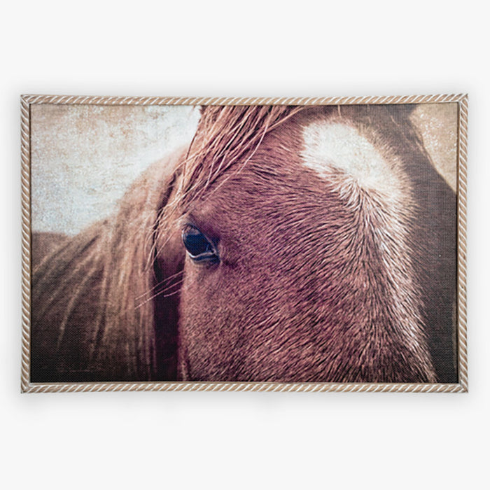 Carved Roped Framed Horse 32 x22 Wall Decor