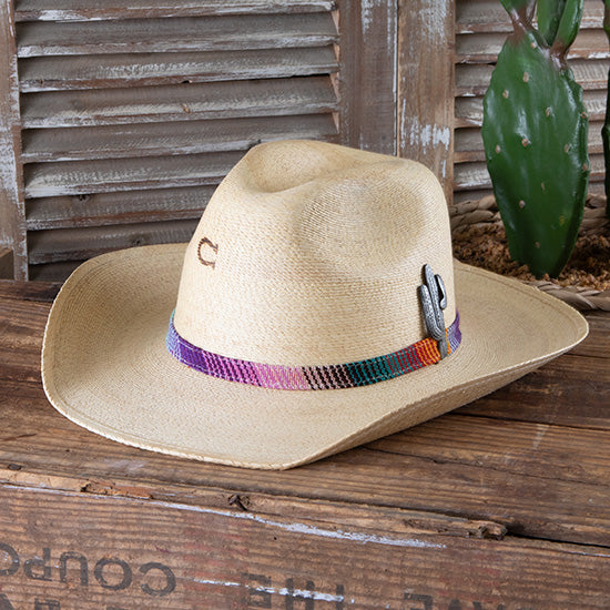Poncho Palm Hat
