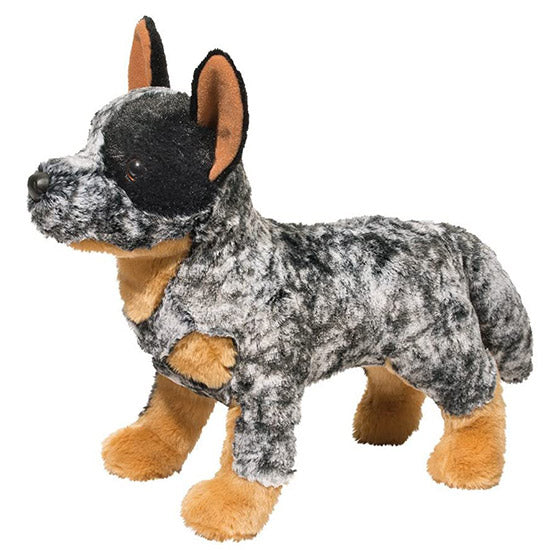 Bolt American Cattle Dog