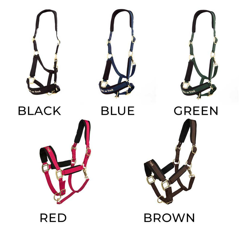 Werano Halter