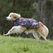 Squirrel Print Dog Blanket