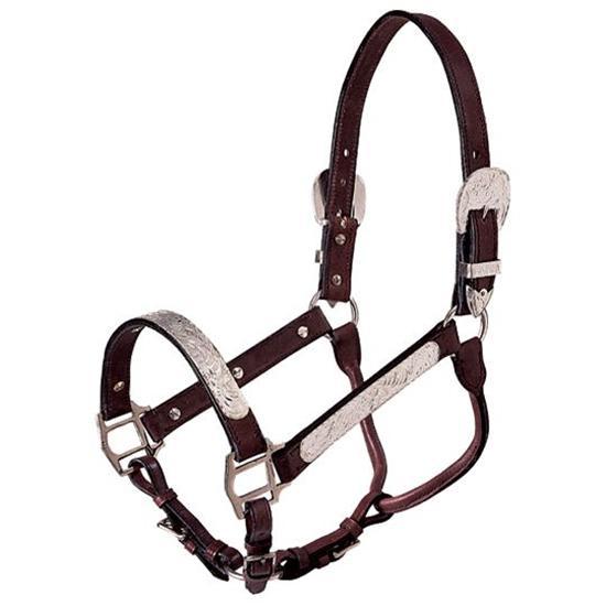Royal King Show Halter and Lead