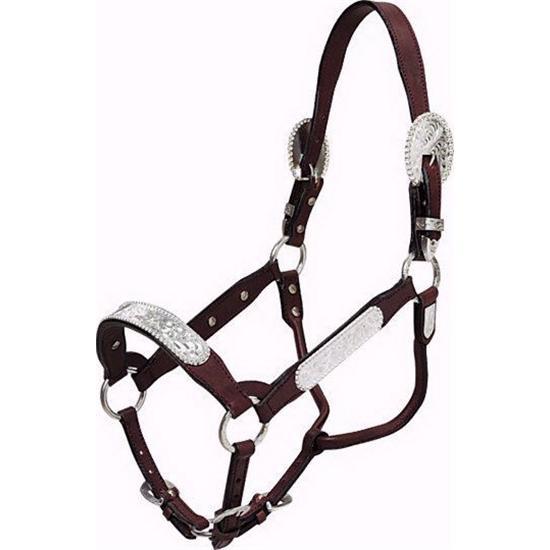 Newberry Show Halter
