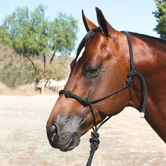 Professional's Clinician Rope Halter