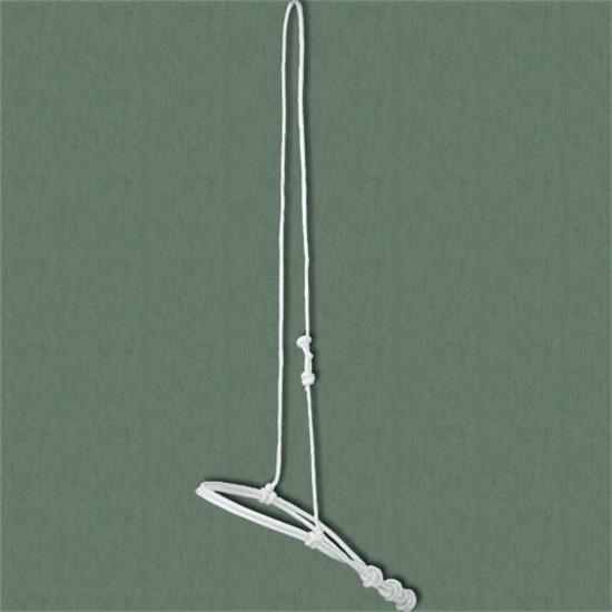 Francois Gauthier Rope Cavason
