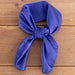 Refined Blue Wild Rag
