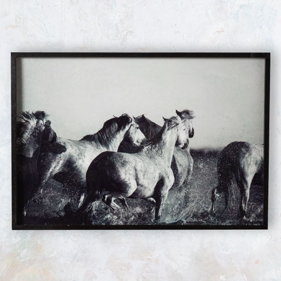 Black & White Running Horses Glossy Photography Framed Art