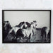 Black & White Running Horses Glossy Photography Framed Art