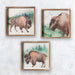 American Buffalo Wall Decor Set of 3