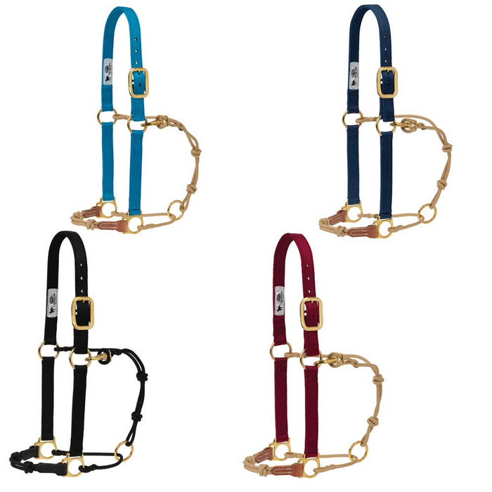 Kalley Krickeberg Horseman's Halter by Weaver Leather