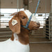Leather Poly Rope Goat/Sheep Halter
