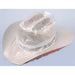 Plastic Hat Cover