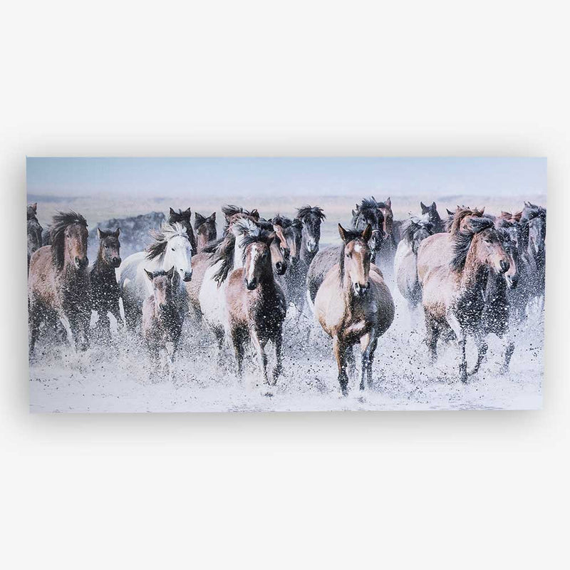 Running Horses in the Water Canvas Wall Art