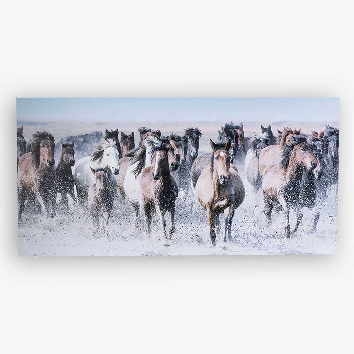Running Horses in the Water Canvas Wall Art