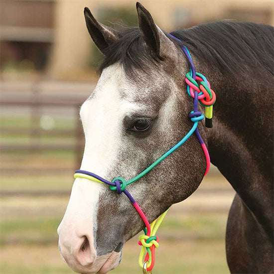 Rainbow Rope Halter
