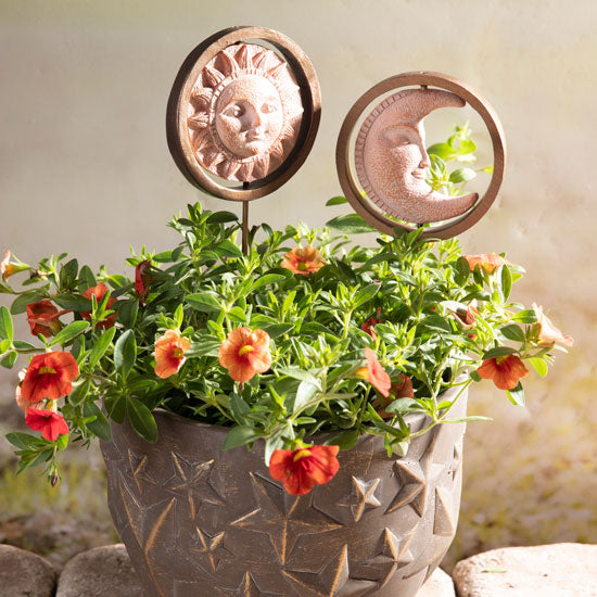 Sun and Moon Plant Picks