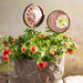 Sun and Moon Plant Picks