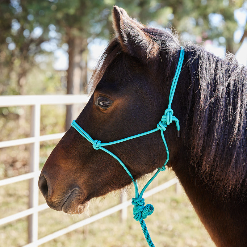 Miniature Poly Rope Tied Halter with Lead