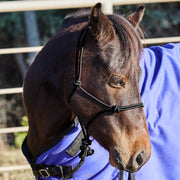 Miniature Poly Rope Tied Halter with Lead