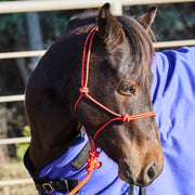 Miniature Poly Rope Tied Halter with Lead