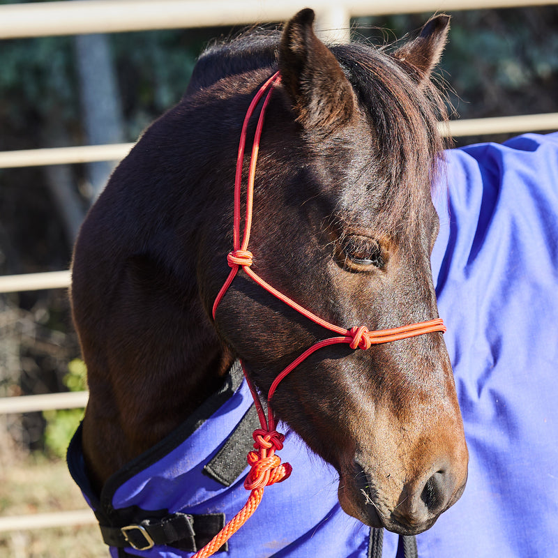 Miniature Poly Rope Tied Halter with Lead