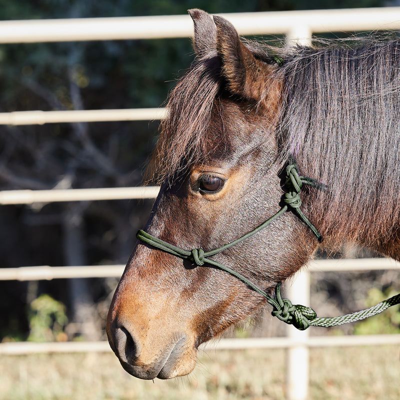 Miniature Poly Rope Tied Halter with Lead