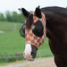 Coolcoor Cooling Checkerboard Fly Mask