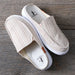Tan Stripe Pontoon Slip- On Shoes