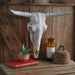 Longhorn Resin Cowskull Wall Decor