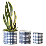Blue Plaid Mini Planters
