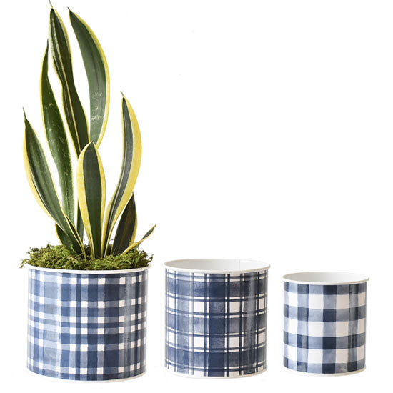 Blue Plaid Mini Planters