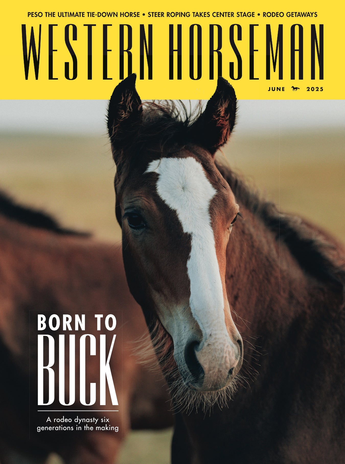 Western Horseman & Other Horse Books