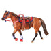 Western Riding Set In Hot Colors