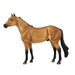 The Ideal Series Buckskin Orren Mixer