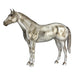 AQHA 85th Anniversary Best Remuda Model