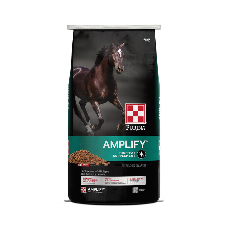 Amplify Equine Supplement