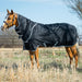 Amigo Stock Horse Plus 200g