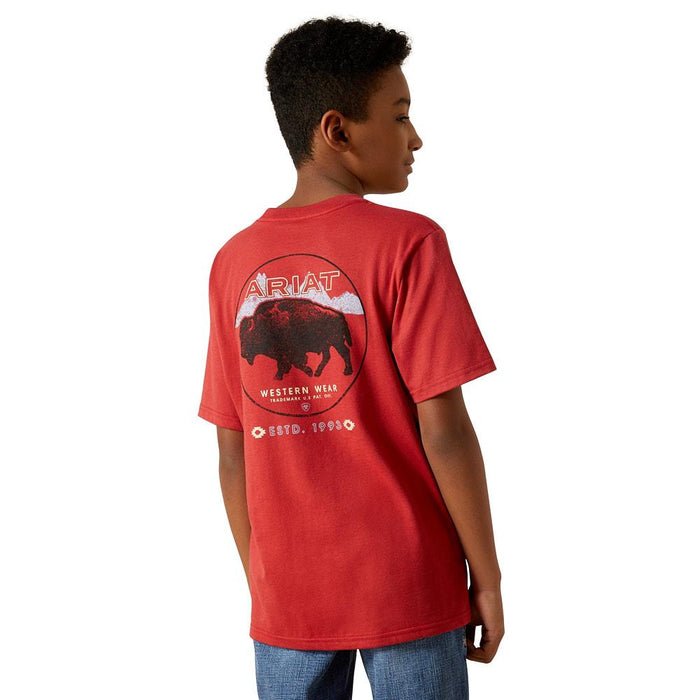 Boy's Brick Red Patriot Buffalo Coin Tee Shirt