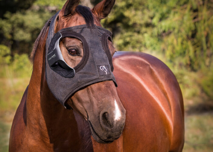 Belfield Blue Light Mask