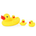 Duck Bath Family