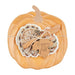 Orange Pumpkin Cheese Set