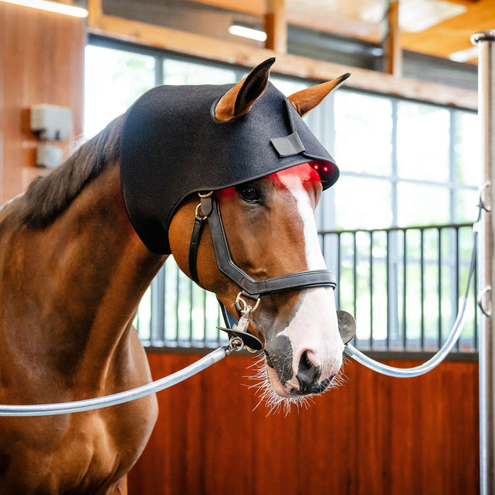 LED Red Light Therapy Poll Cap