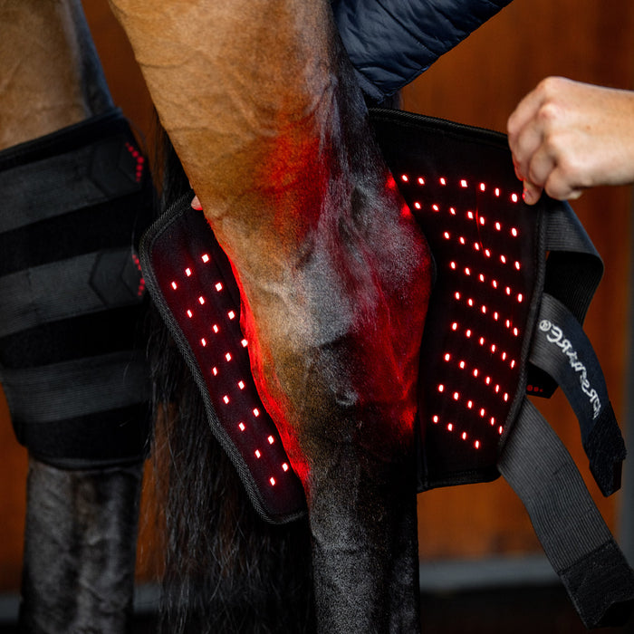LED Red Light Therapy Right Hock Boot