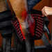 LED Red Light Therapy Right Hock Boot