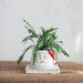 Santa Head Planter